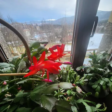 Bed & Breakfast Wichrowe Wzgorza
